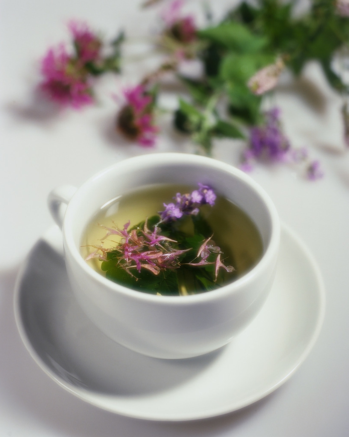 thé thé salé sain santé potable
