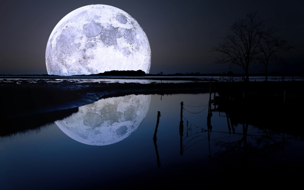 Ιαπωνική νύχτα σεληνιακού φεγγαριού