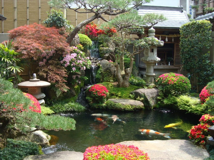 ιαπωνική κήπος κήπος λίμνη koi κυπρίνος πέτρινο φανάρια asalien κωνοφόρα