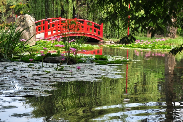Ιαπωνική κήπο κήπου λίμνη κόκκινη γέφυρα νούφαρα νερό