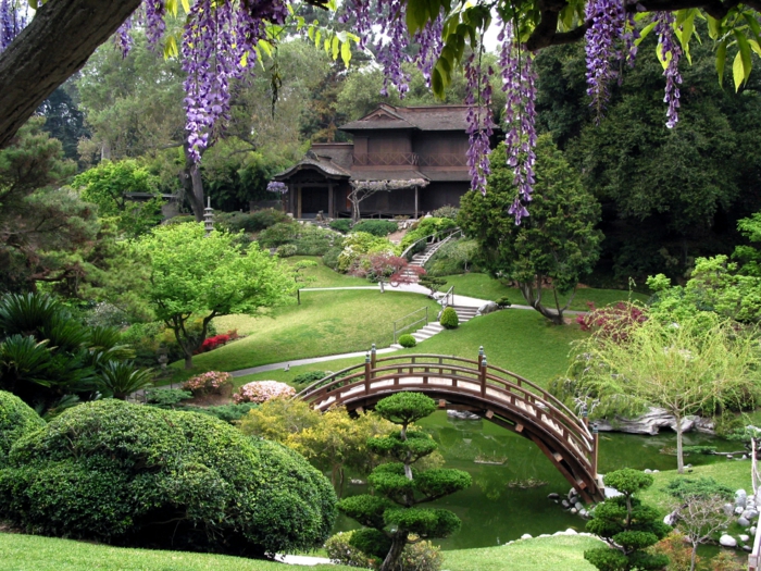 Ιαπωνικό κήπο ξύλινη γέφυρα λίμνη κωνοφόρων ακακία
