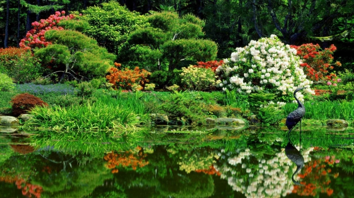 Ιαπωνικά πάρκα κήπου δρυς πράσινη βλάστηση Ανατολικών ροδοδεντρών