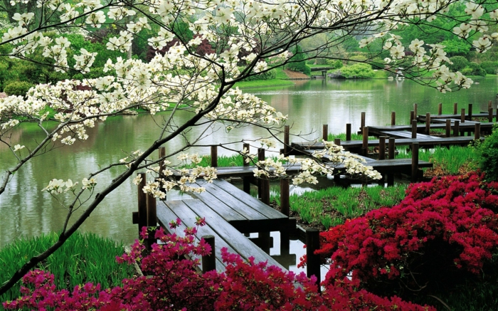 Ιαπωνικά πάρκο λίμνη πάρκο ανθίζοντας δέντρα θάμνοι