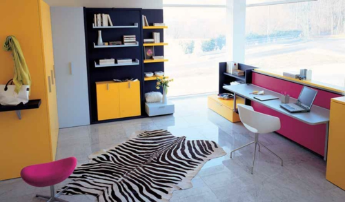 youth room furnishing ideas with colors zebra pattern