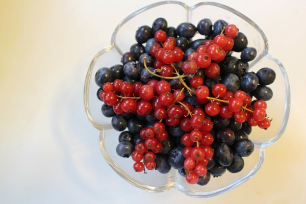 jungfrau зоодикански френско грозде, които ядат плодове