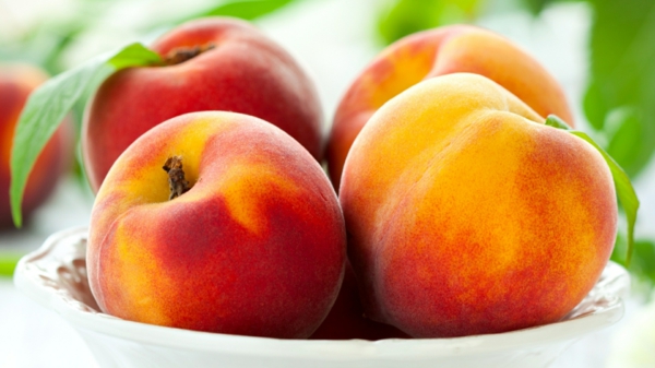 Neitsyt eläinradan persikat syö hedelmiä