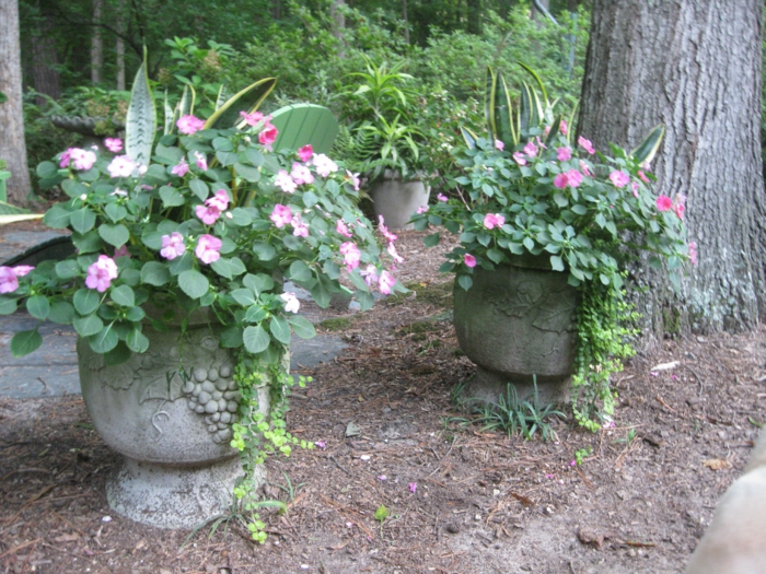 μπανιέρα φυτά ιδέες κήπων όμορφη διακόσμηση ιδέες