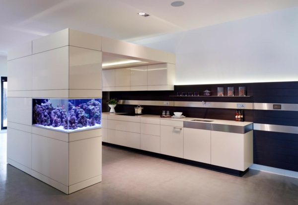 bucătărie design de pește de acvariu modern bucătărie