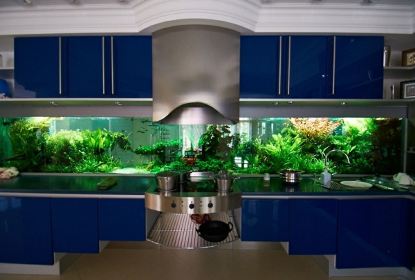 bucătărie design dulapuri de bucătărie albastru bucătărie din spate perete acvariu