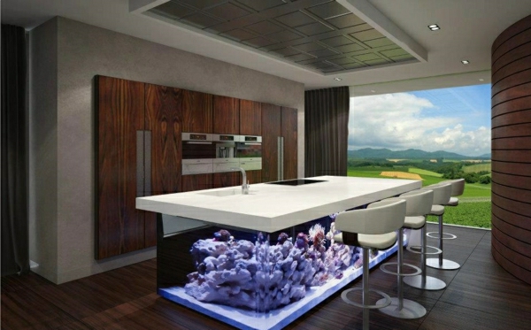 design bucătărie care integrează bucătărie acvariu