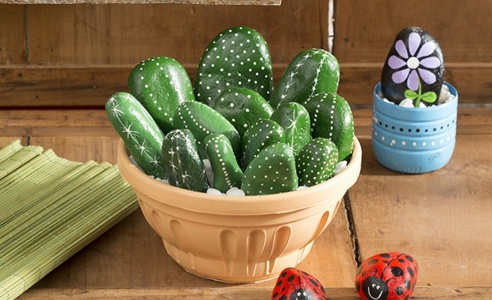 cactus bloemen lieveheersbeestje op stenen verf