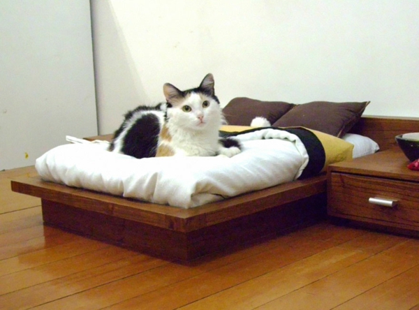 gato muebles original regalo mascotas