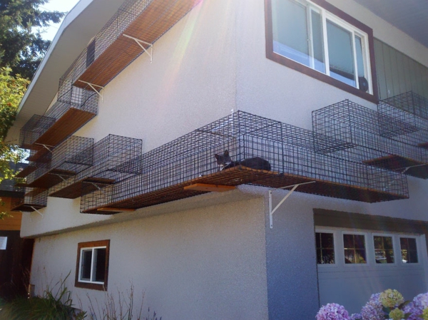 fachada de metal de casa de diseño de muebles de gato