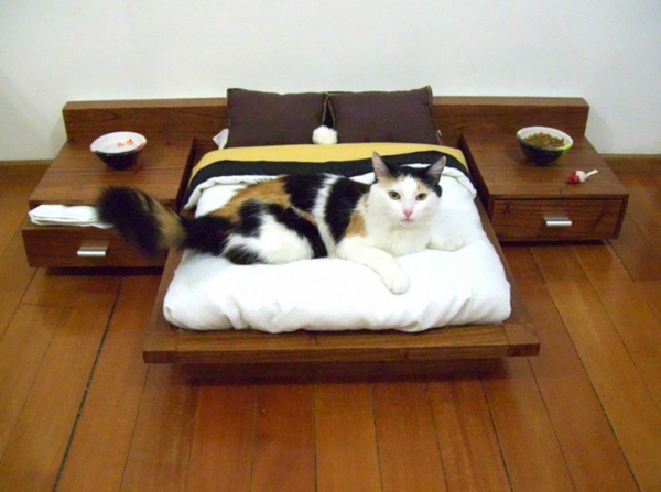 gato muebles dormitorio diseño divertido cama