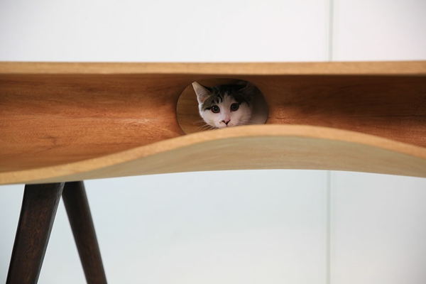 muebles para gatos olas formas mesa para esconder