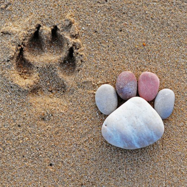 камъчета градински декорации каменни крака плаж