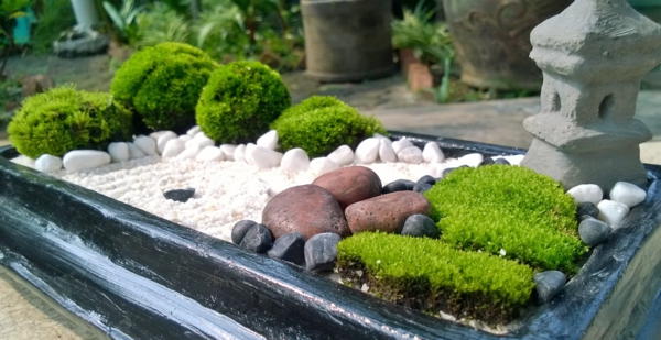 kleine tuinen creëren een zen-tuinminiatuur
