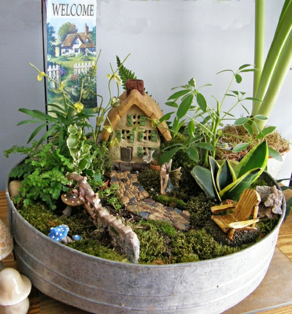 grădini mici formă de staniu moss plante casa