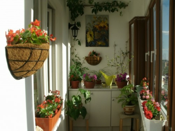 малък балкон растителен