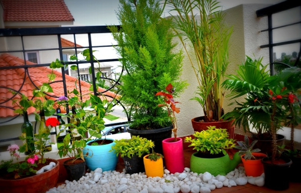 malý balkón tvaruje malou zahradu