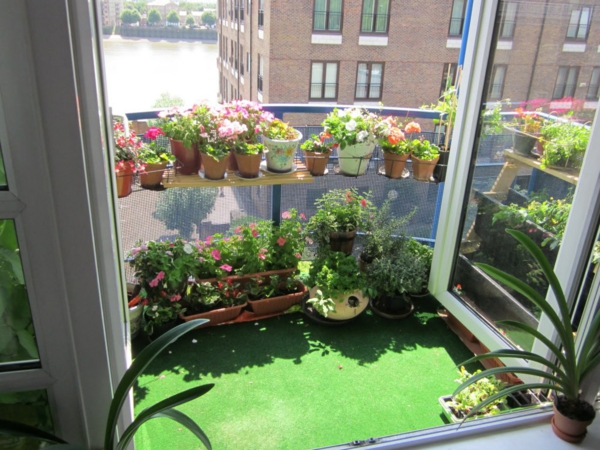 Petit balcon forme des plantes d'humeur