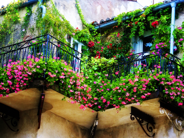 Petit balcon forme riche plantation