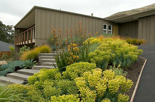 גן קטן עיצוב רעיונות צהוב צמחים גן עיצוב