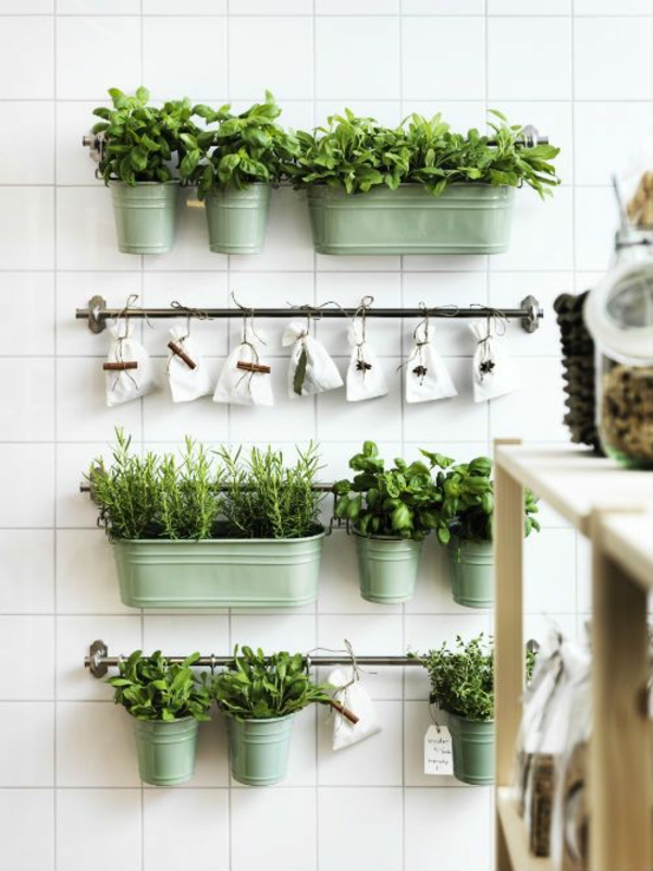 urtehave design køkken væghus planter arter persille potteplanter