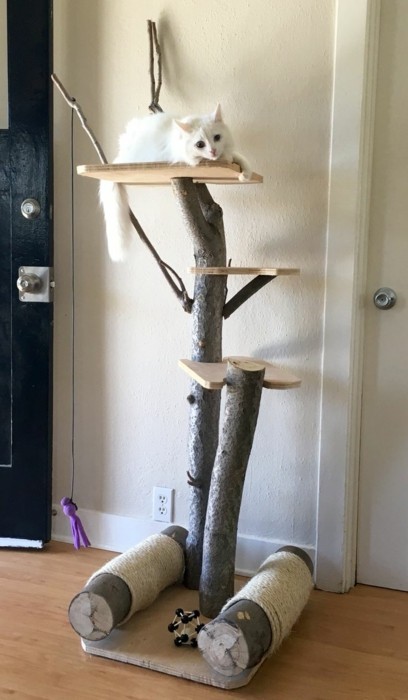 Cat Tree Design DIY