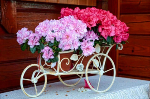 kūrybingi gėlių puodai metalo deko vežimas