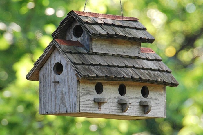 Postavte kreativní dům ptačího chovu ptáků sami
