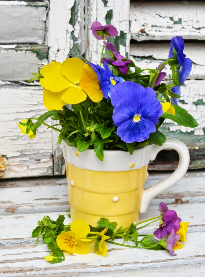 décor à la maison créative fantaisie fleur vase tasse