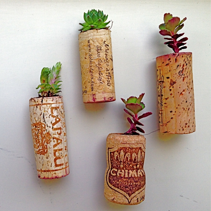 kreative håndværk kork original plante container væg design ideer