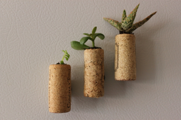 ideas creativas de la decoración de la pared del envase de la planta del tinkering