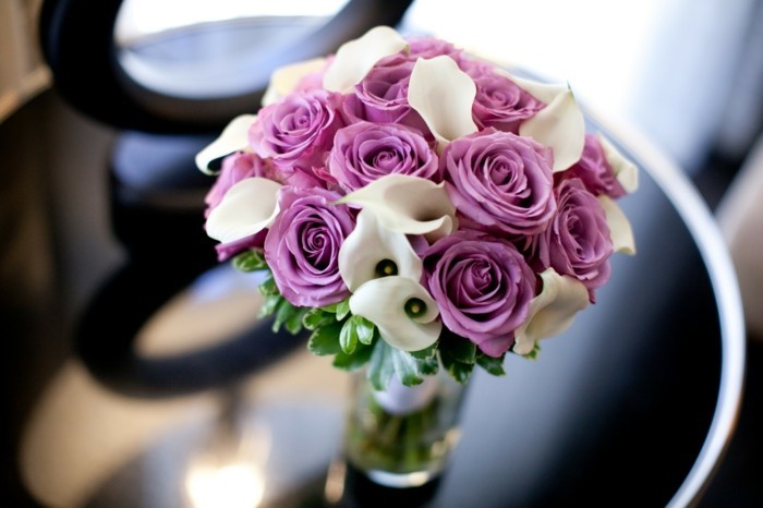 lavender roses
