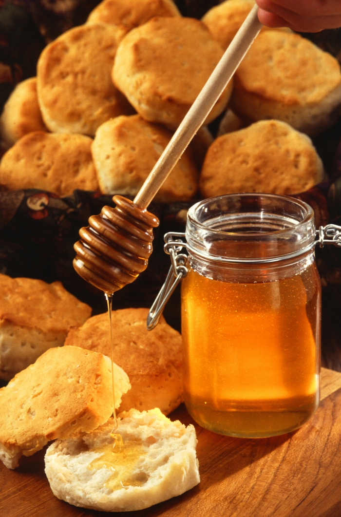 ζωντανό υγιές μέλι τρώνε ποικίλες συμβουλές διατροφής