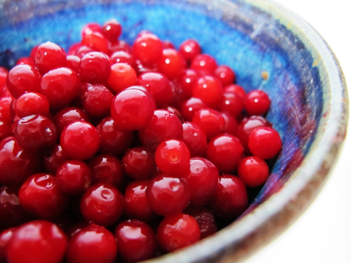 live healthy cranberries kidney strengthen