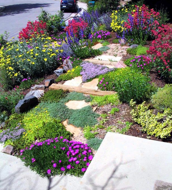 create vibrant garden design on the slope of colorful garrottenpflanzen