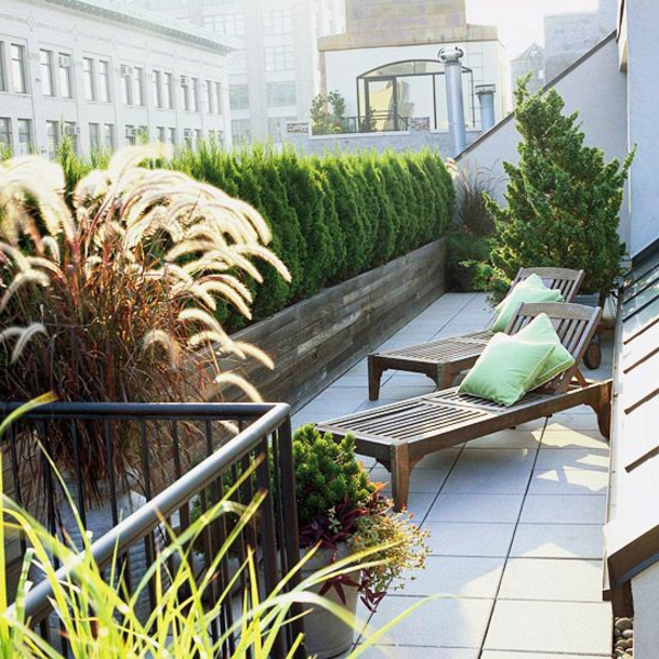 Livlig synet beskyttelse til terrasse plantning