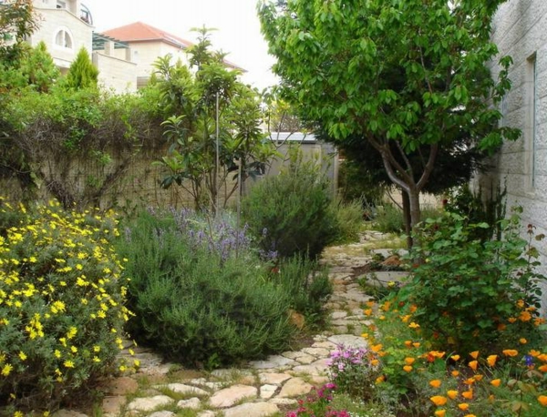 любовно изкуство градина пейзаж дизайн средиземноморски