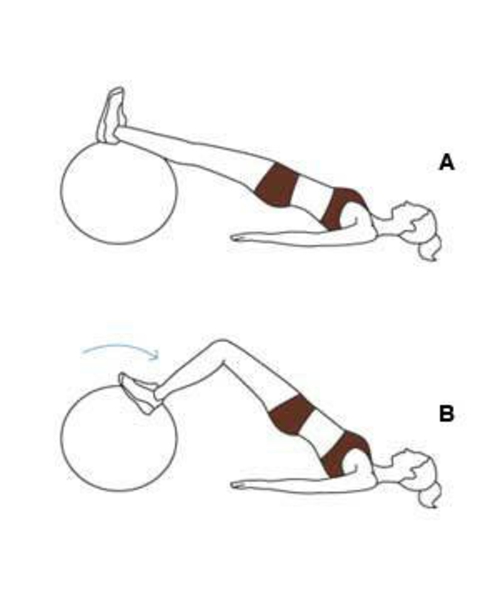 ejercicios abdominales inferiores de la bola de la gimnasia del ab