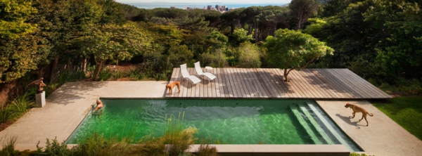луксозен плувен басейн градина дървен панел