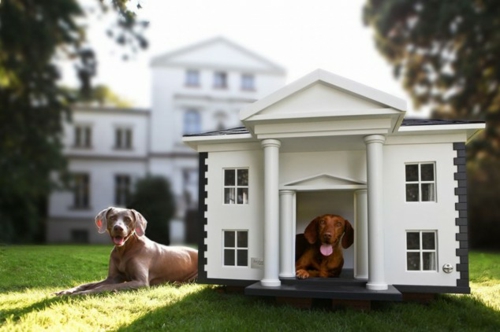 Dog house designs modern floor house