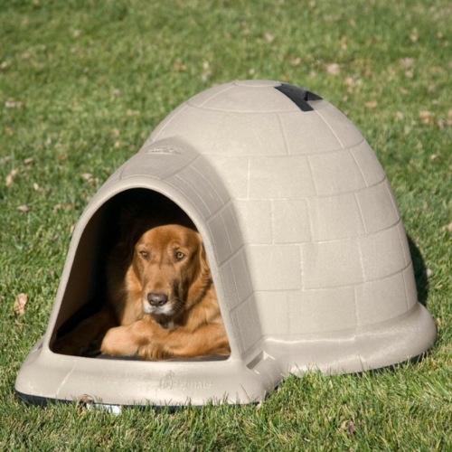 Luxury doghouse designs snow house practically outside