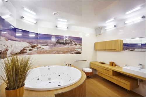 豪华的浴室建立浴缸植物图片墙