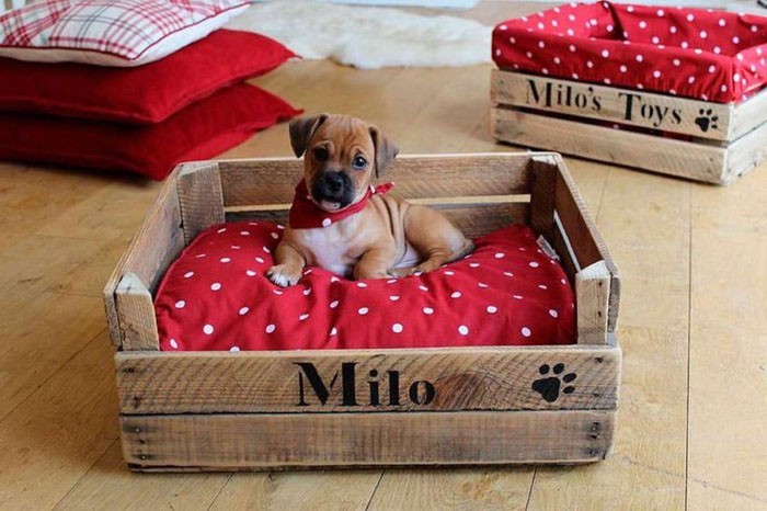 meubles de boîtes à vin idées de décoration idées de bricolage vie durable lit de chien