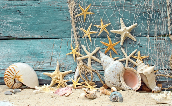 морска декорация риболовна мрежа морски открити морски звезди