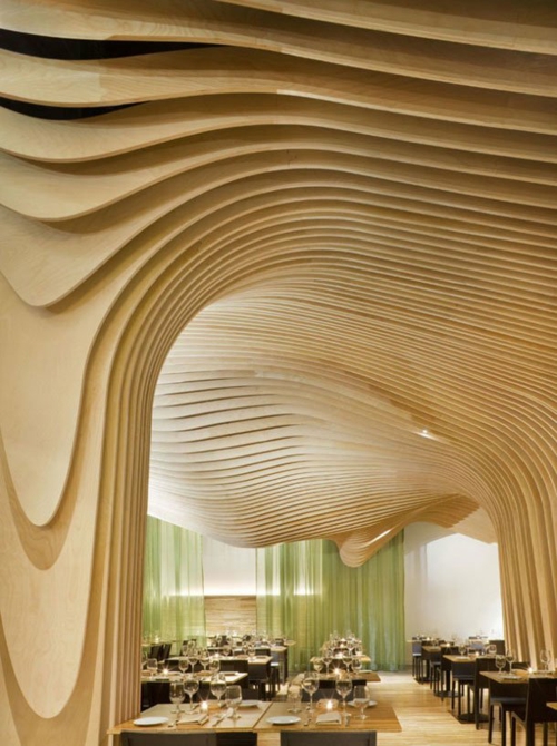 固体轻的天然木材形状天花板镶板的想法
