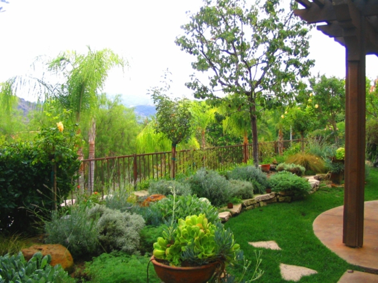 jardín de plantas mediterráneas crean inspiración mediterránea