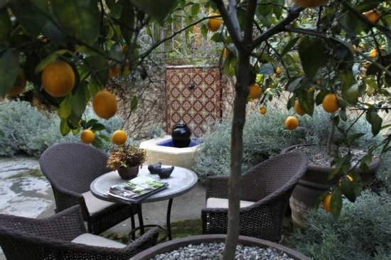 crear ideas de plantas de jardín mediterráneo área de estar muebles de jardín de ratán